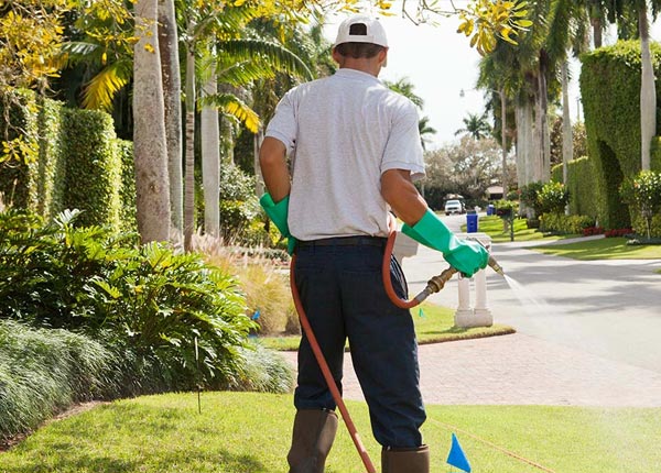 About Pocahontas MO Pest Control Pros